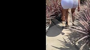 Zia lilly da viridea