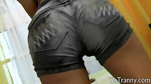 Busty Shemale Anal Fucked On The Couch