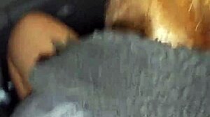 Married Woman Hitches Ride And Sucks Driver's Cock For Cum On Tits