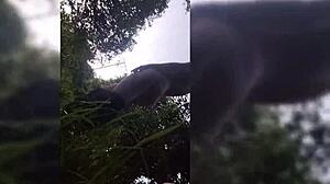 my colombian step-cousin took a bath leading to intense fucking on the shore pov style