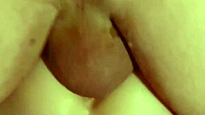 You see these shorts together with blowjob deepthroat handjob face fucking gaping pussy teasing and ball licking