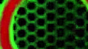 sara jay dildo fucking with big tits and pussy action