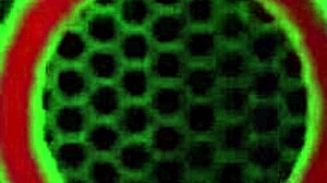 Vicky Vette rips her tight dress off to finger wet pussy and ass deeply.