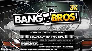 angelique craved a big dick, riding it in cowgirl and missionary positions until creampie.