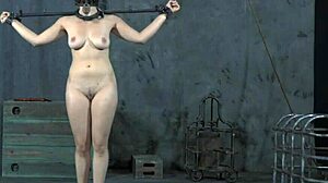 Oh, this sexy toy delights my snatch so much!