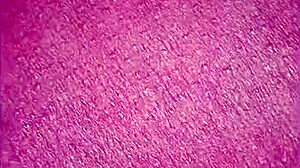 Cubana Nalgona Shows Big Ass and Big Natural Tits in Black Cuban Fat Action!