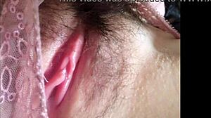 close-up compilation of bearded clams in tram action part 2 2