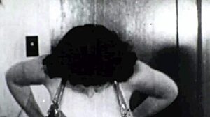 dark lantern entertainment presents two centuries of vintage porn