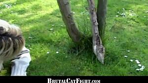 Slutty blondes fighting and cock sucking.