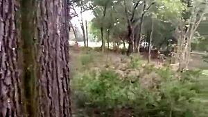 impregnablelexa takes wolfdaddy901s dick bareback for creampie in public park 😈🌳