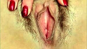 close-up compilation of bearded clams in tram action part 2 2