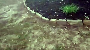 impregnablelexa takes wolfdaddy901s dick bareback for creampie in public park 😈🌳