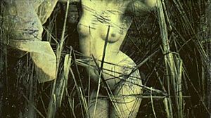 dark lantern entertainment presents two centuries of vintage porn