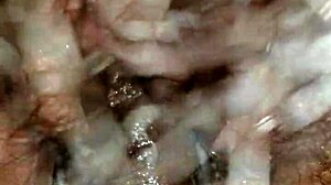 isn't it hot how this wife takes multiple creampie loads in her pussy? can you handle that cum action?