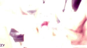 i'm rebecca sharon taking monster 5on1 with balls deep anal dap gapes buttrose pee drink and swallow outdoors