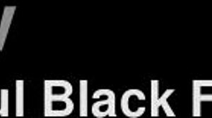 I love this Honey erotic art with Paul Black, it's got that kinky toy play in the cinema... wait, no, more like black toys and erotic vibes.