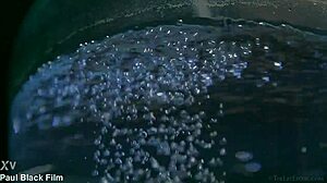 I love this Honey erotic art with Paul Black, it's got that kinky toy play in the cinema... wait, no, more like black toys and erotic vibes.