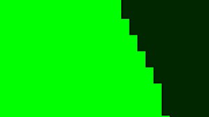 Snatched for ransom and trained in intense sessions