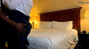 Young Bear Cub Adventure