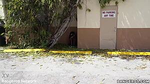 Ivy's karma hits hard as a bitch with big tits blowjob and cumshot facial