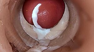 I remember those grandpas and grannies sharing cumshots in a fun compilation.