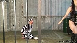 japanese femdom yun dominates with strapon pegging and intense handjob in bondage session while her sub is bound tight