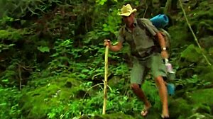 Wild Outdoor Anal Fucking in Nature with Bound European Skinny Babe in Passionate Quickie