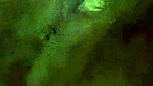 i love getting nasty with anal assfucking and bold beauty sex