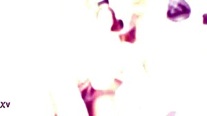 i feel so intense taking on mary jane vs 3 bbc with deep anal dap gapes creampie swallow