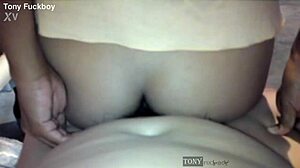 ay aaay it hurts! she loses the bet and pays with intense anal cowgirl riding as a young latina bride!