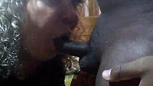 i came across this clip of symona the travesti gaúcha