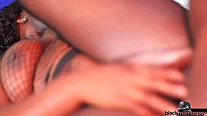 Stranger with 11 inches big black dick fucks hot stripper after party