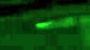 Step sister starts licking tutor pussy in hot lesbian threesome action