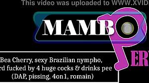 bea cherry sexy brazilian nympho hard fucked by 4 huge cocks dap pissing 4on1