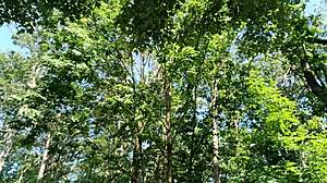 Amateur Jerking Outside with Huge Big Cock Leading to Double Cumshot in Public Naked