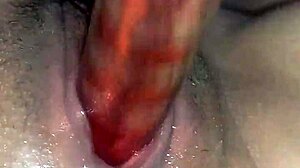 Hot Latina Neighbor Clit Toy Squirting Cumshot