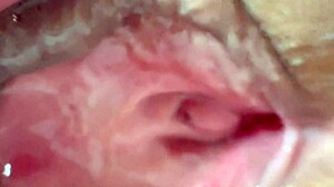 Amateur shaved pink pussy closeup 106 days post virginity loss wet cunilingus