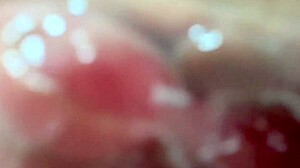 Amateur shaved pink pussy closeup 106 days post virginity loss wet cunilingus