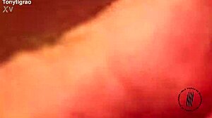 brazilian curvy latina milks huge cock with dirty talk and rough cowgirl ride