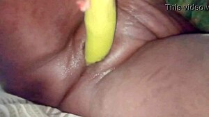 desi bhabhi fucked brinjal dildo wet pussy cumshot