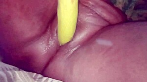 desi bhabhi fucked brinjal dildo wet pussy cumshot