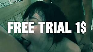 Naughty Japanese Girls' Intense Blowjobs Explode into Creampie Ecstasy