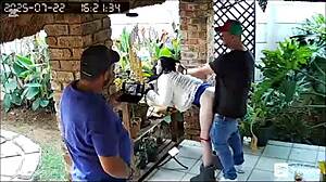 Spycam Catches Wife's MMF Creampie with Best Friends at Work