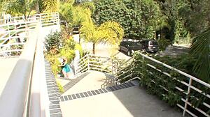 Hey cougar, dive into this lesbo fuck with a hot young gilf!