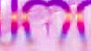 Brazilian milf Larissa Leite takes 5 studs DP swallows loads 💦🍆😍