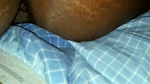 jaybo hefner rides ebony cowgirl style bouncing that big black ass hard