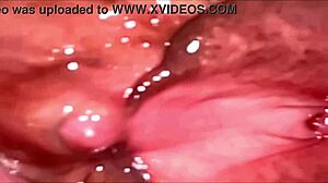 Amateur Shaved Pussy Cums 158 Days Post Virginity Closeup