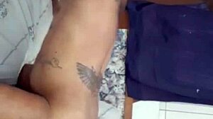 Brenao Haitian refugee pounds baiano tattooed cock monster