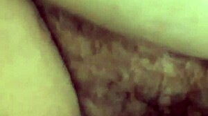 What Happens When Homemade Mexican Fun Turns Neighborly?