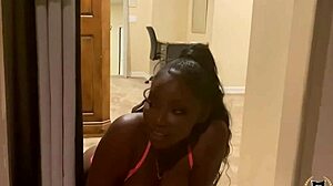 window bj from osa lovely's bubble ass milking rome major?